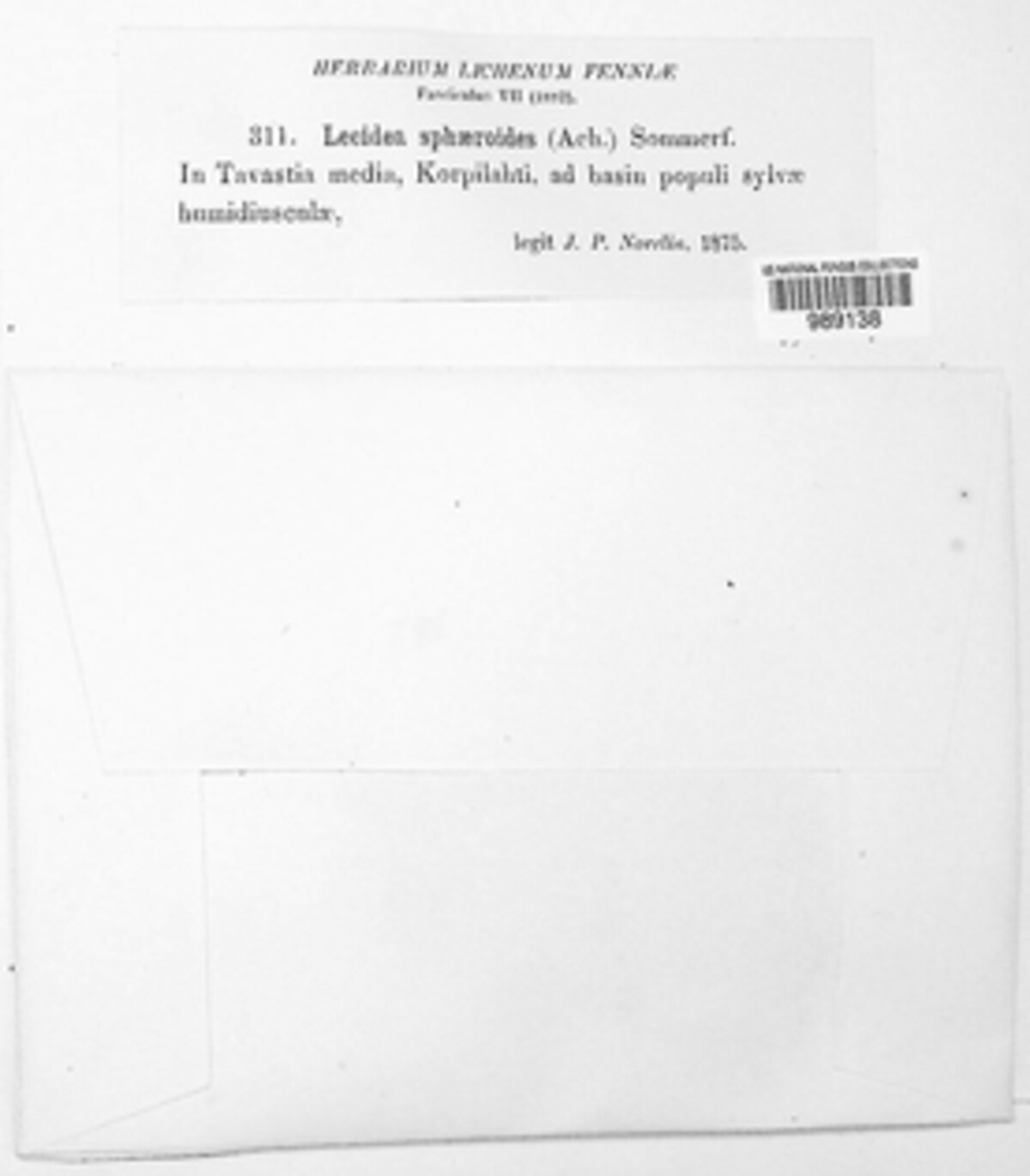 Mycobilimbia sphaeroides image